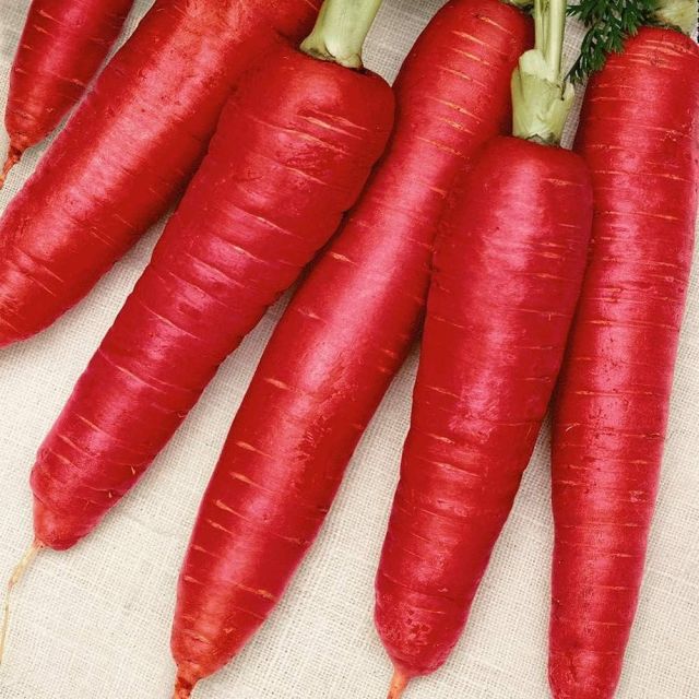 Carrot ( Gajar )