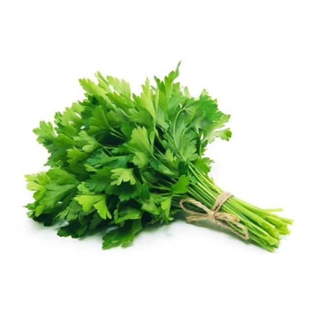 Coriander Leaves ( Dhaniya )