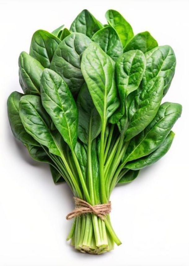 Spinach (Palak)